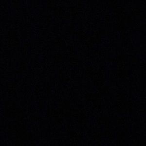 Meet your Posher, Shayna